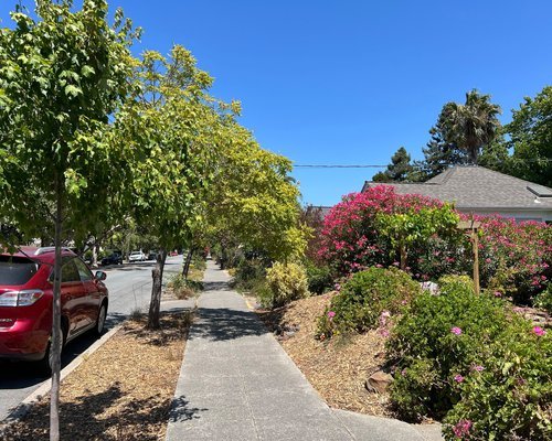 Photo of house with sidewalk and trees