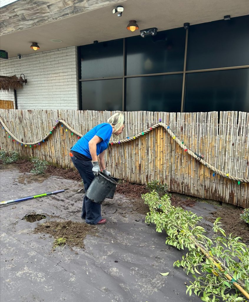 Woman doing yard maintenance task